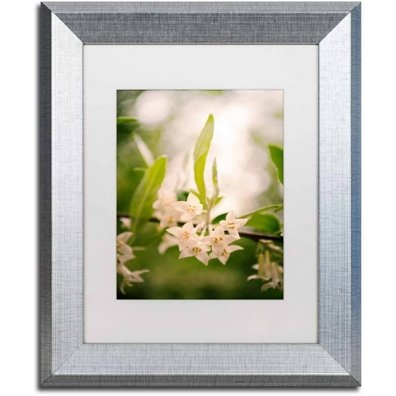 Trademark Fine Art 'Floral Tranquility' Canvas Art by PIPA Fine Art, White Matte, Silver Frame