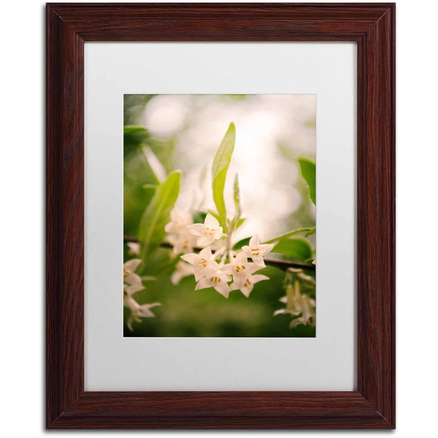 Trademark Fine Art 'Floral Tranquility' Canvas Art by PIPA Fine Art, White Matte, Wood Frame
