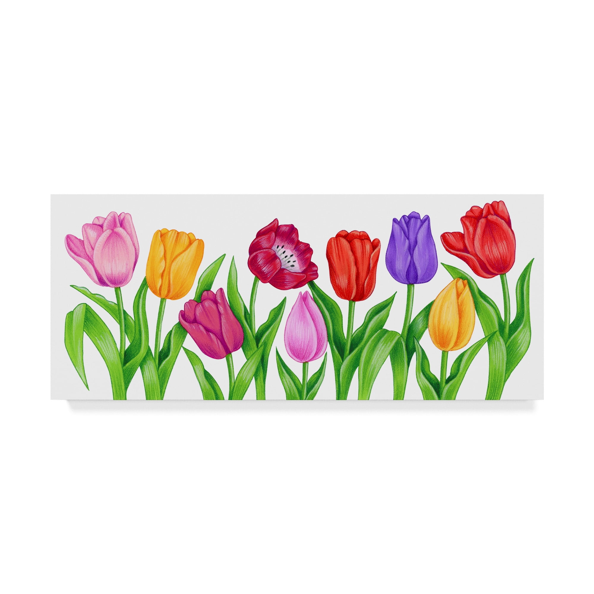Trademark Fine Art 'Floral Tulips' Canvas Art by Kimura Designs