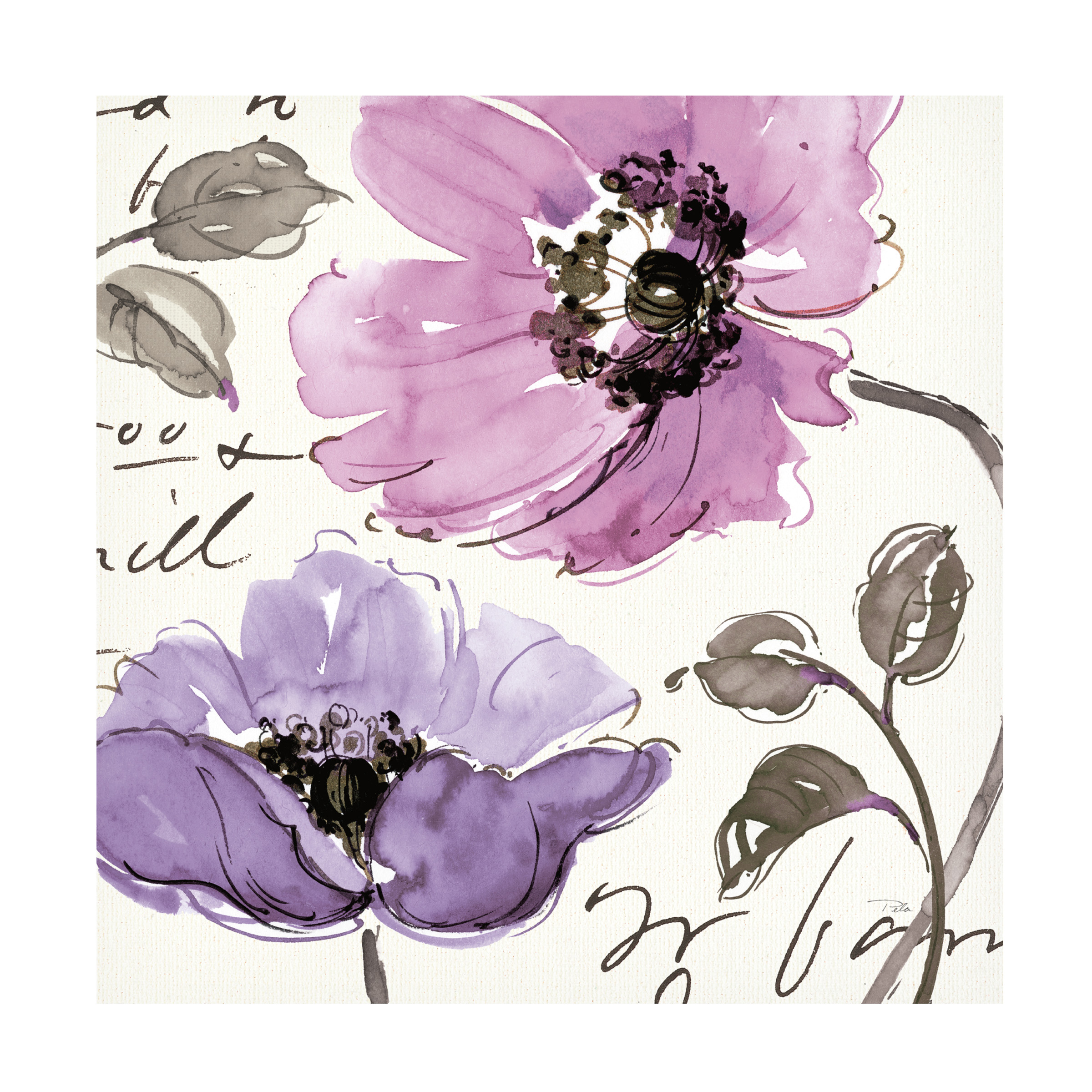Trademark Fine Art 'Floral Waltz Plum I' Canvas Art by Pela Studio
