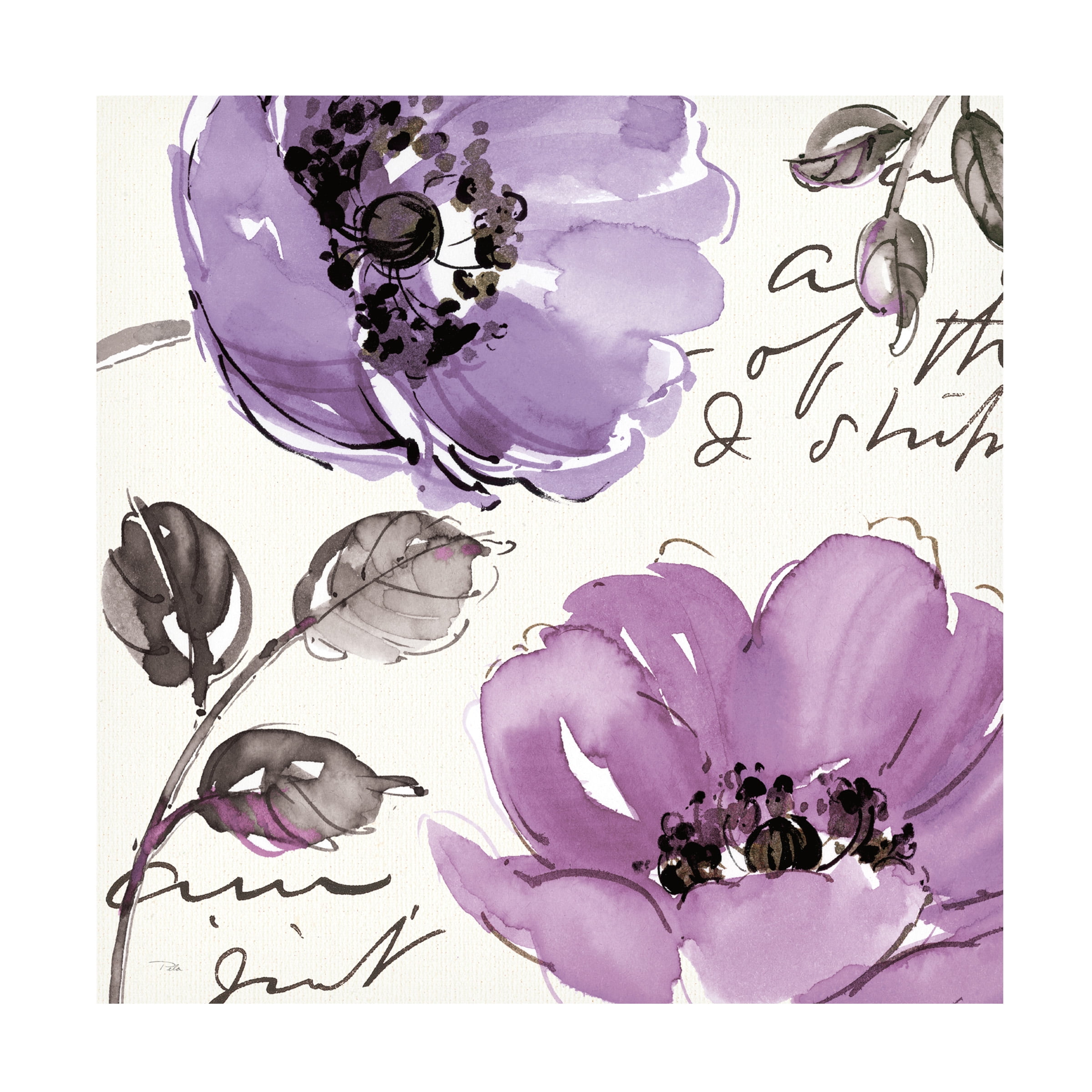 Trademark Fine Art 'Floral Waltz Plum II' Canvas Art by Pela Studio