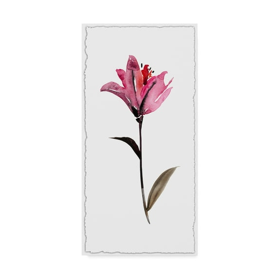 Trademark Fine Art 'Floral Watercolor II' Canvas Art by Kiana Mosley