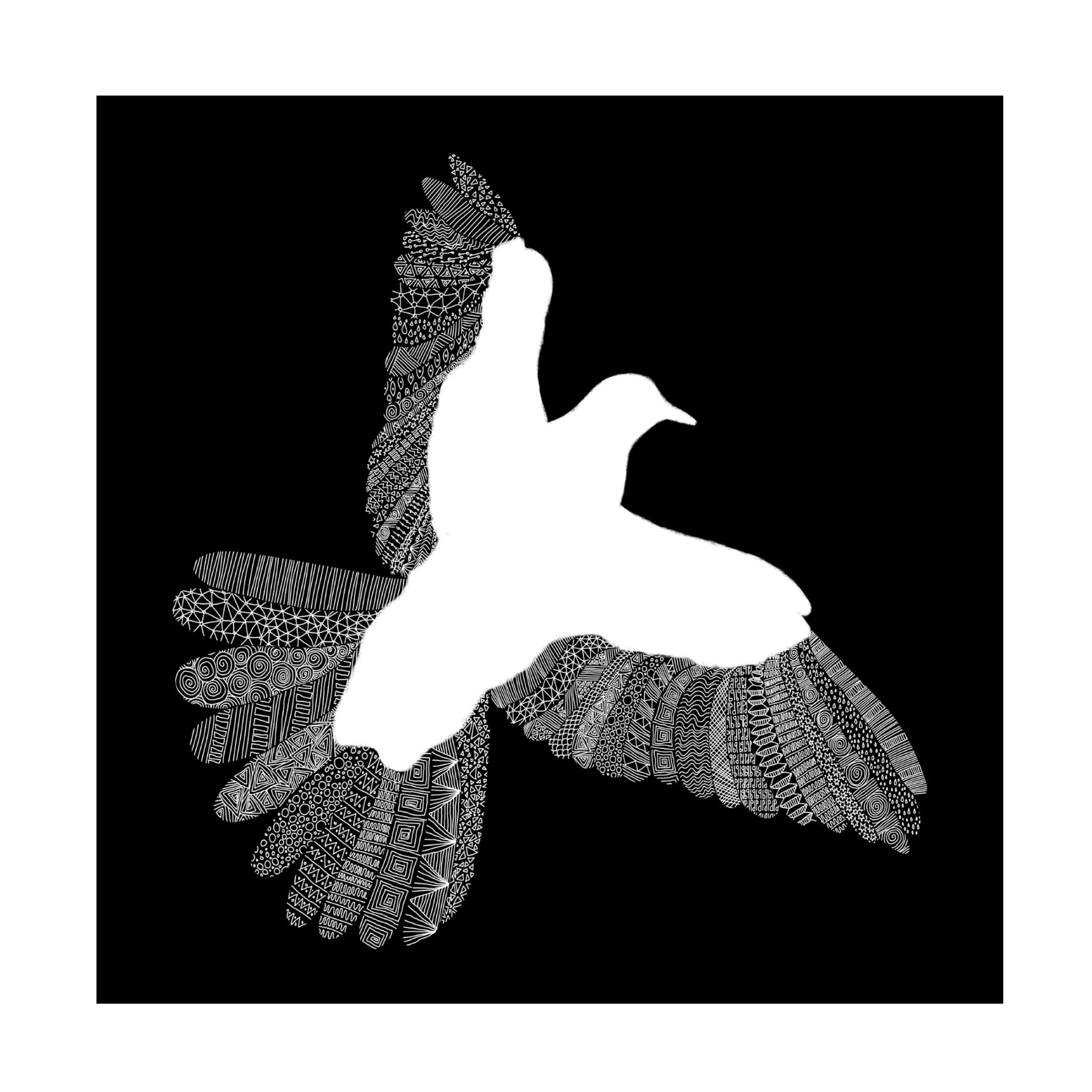 Trademark Fine Art Florent Bodart Bird Black Canvas Wall Art