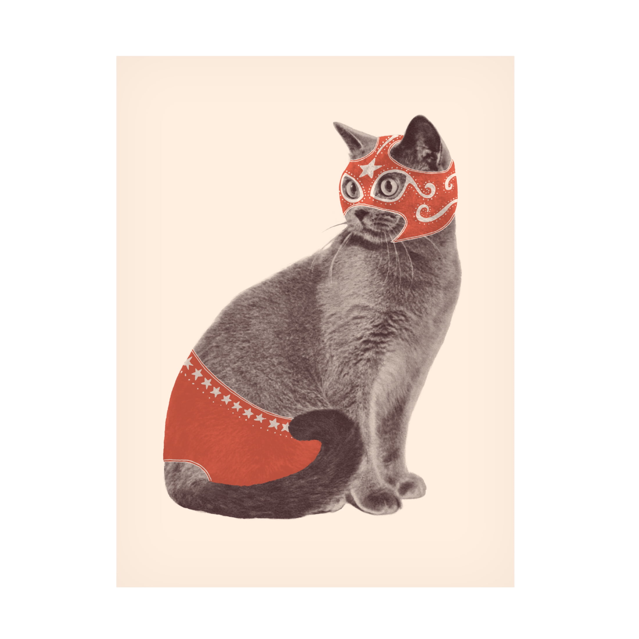 Trademark Fine Art Florent Bodart  Chat Catcheur Canvas Wall Art