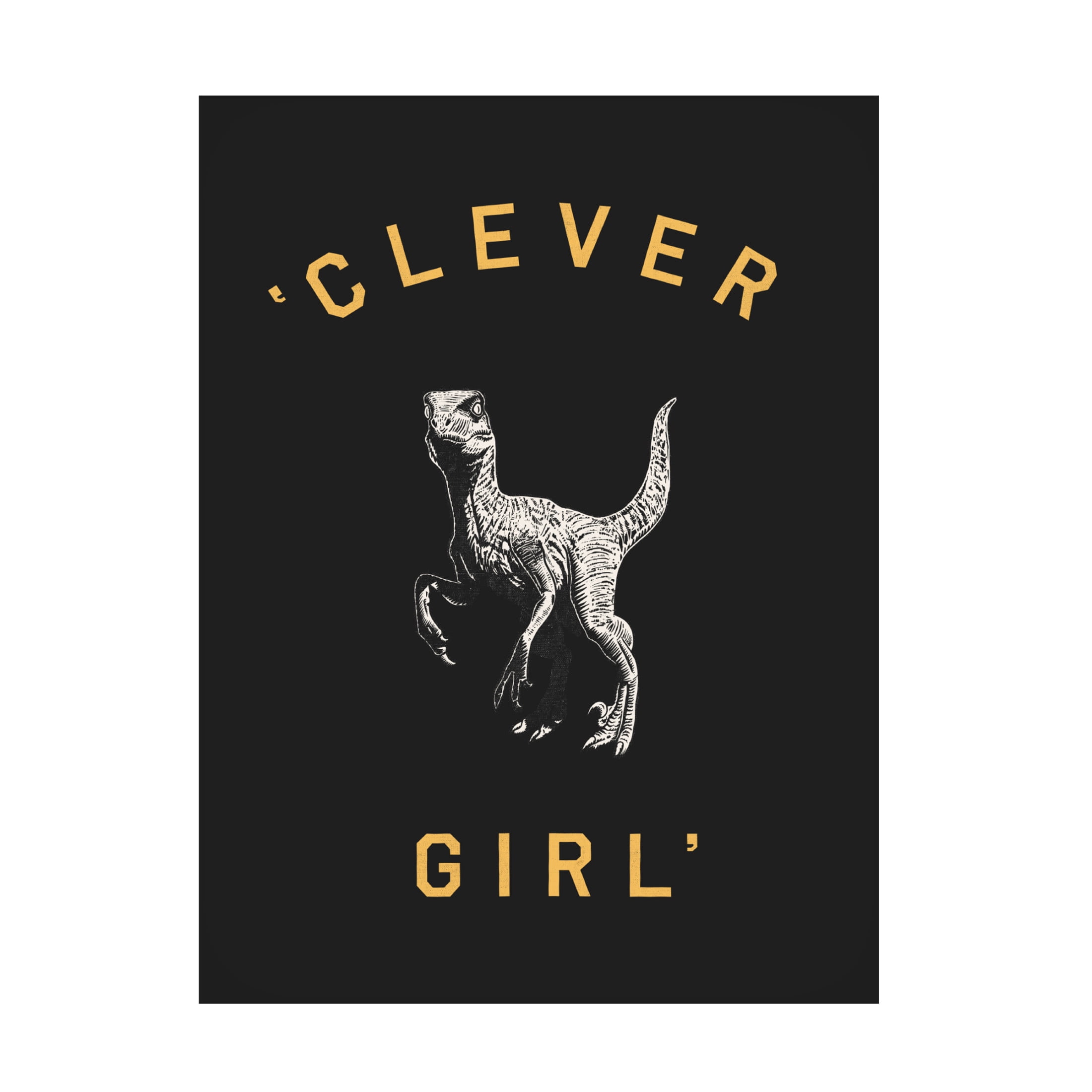 Trademark Fine Art Florent Bodart  Clever Girl Dark Print Canvas Wall Art