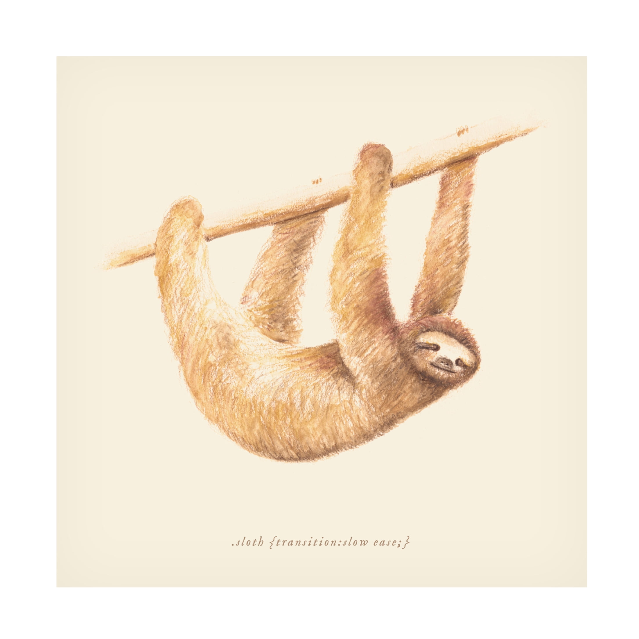 Trademark Fine Art Florent Bodart Css Animals Sloth Canvas Wall Art