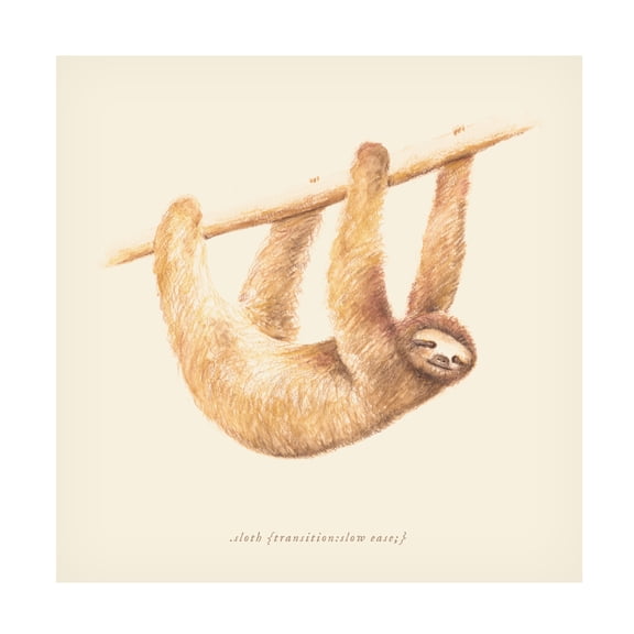Trademark Fine Art Florent Bodart Css Animals Sloth Canvas Wall Art
