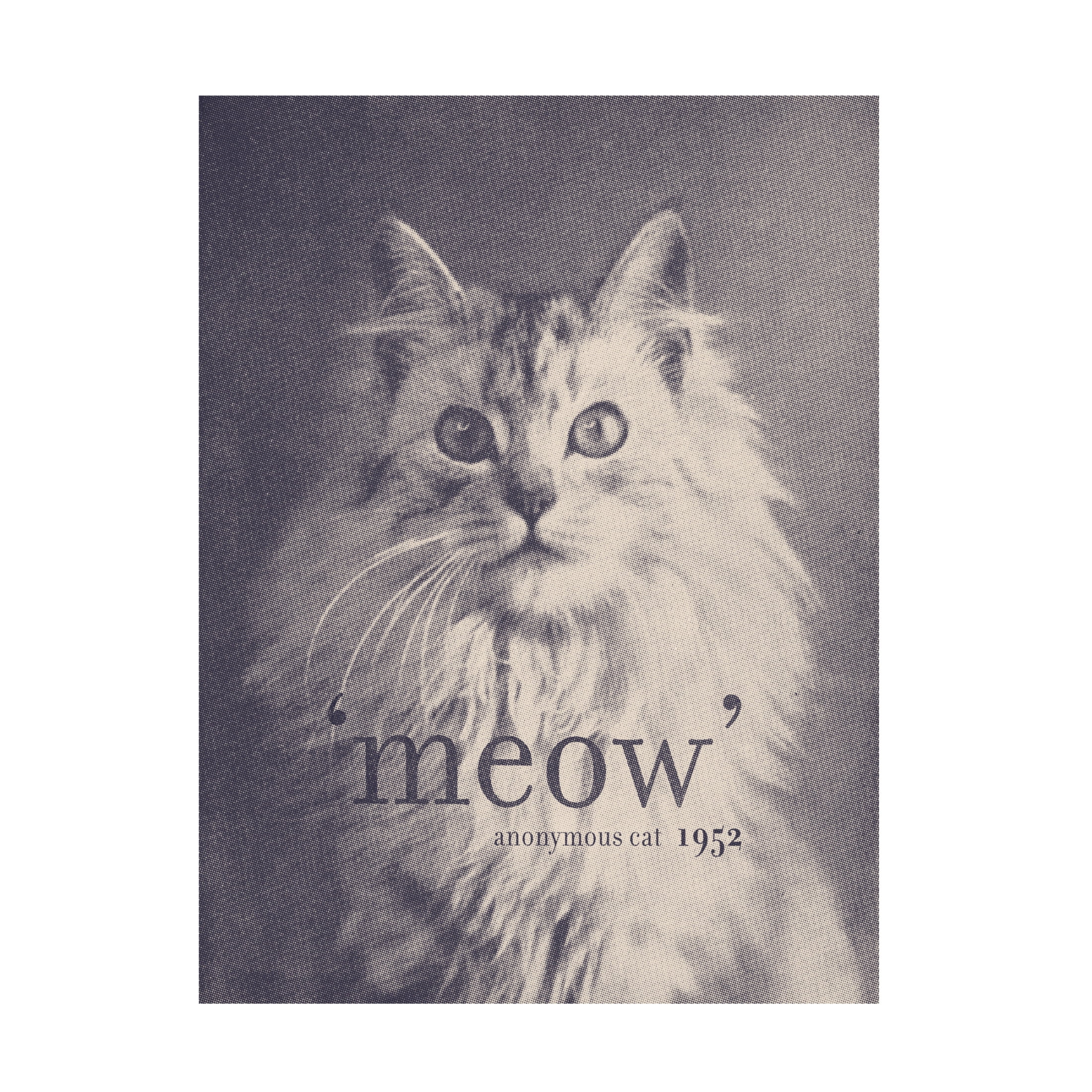 Trademark Fine Art Florent Bodart  Famous Quote Cat Canvas Wall Art
