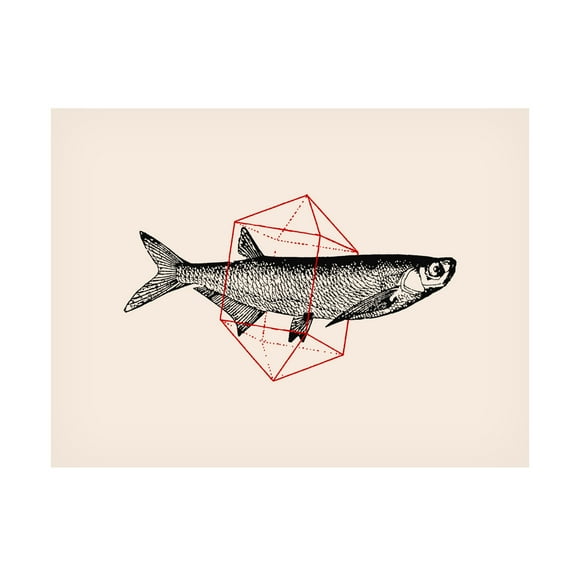 Trademark Fine Art Florent Bodart  Fish In Geometrics NAo2 Canvas Wall Art