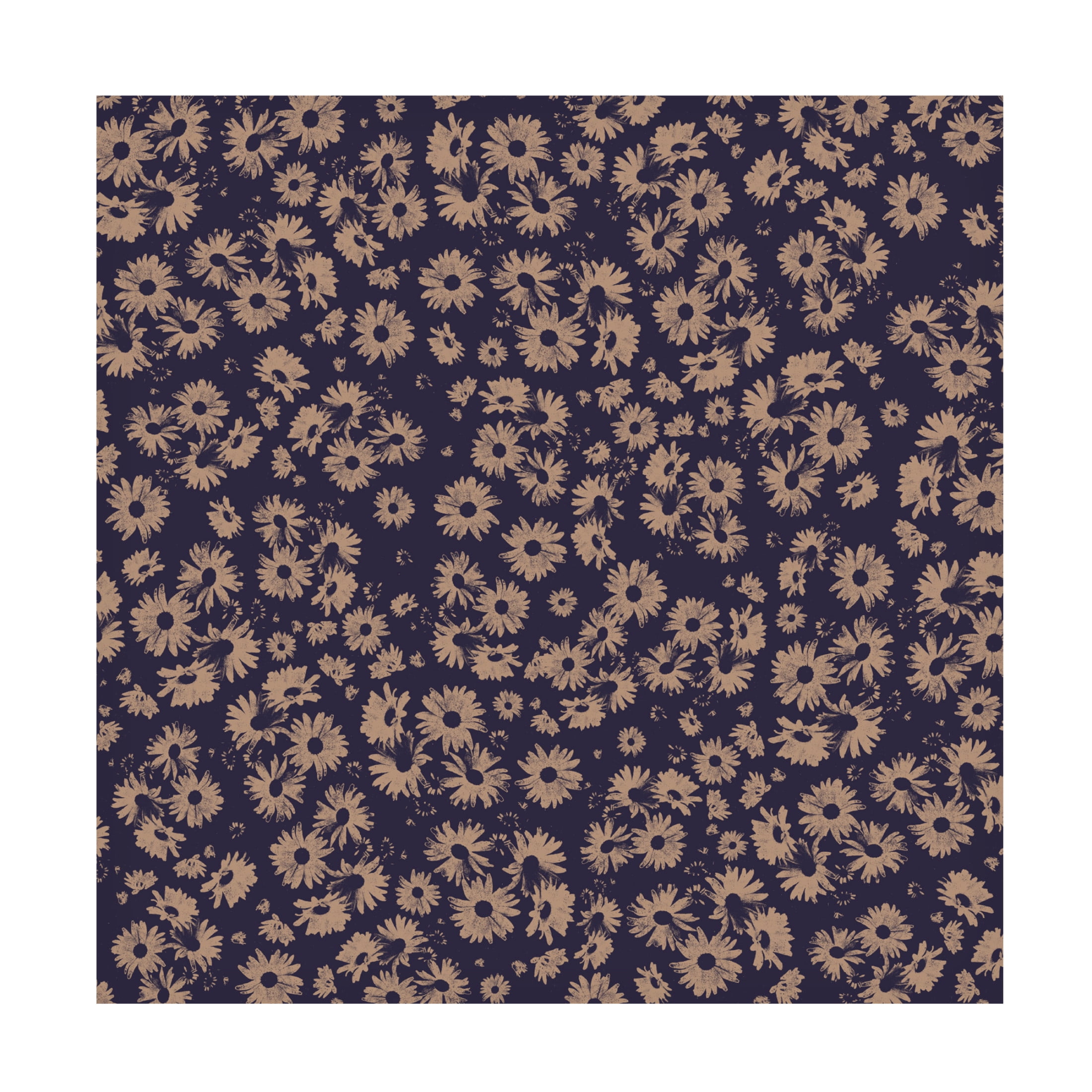 Trademark Fine Art Florent Bodart  Flowers At Dawn NAo2 Canvas Wall Art