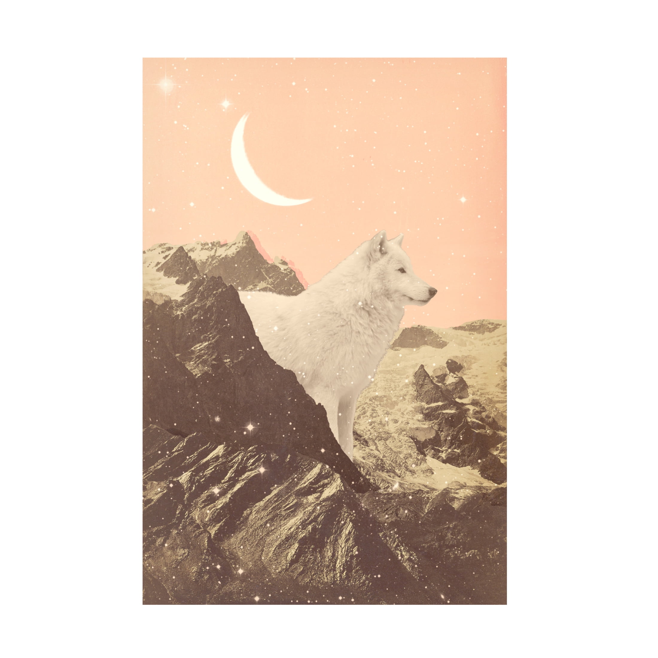 Trademark Fine Art Florent Bodart Giant White Wolf In Mountains Canvas Wall Art