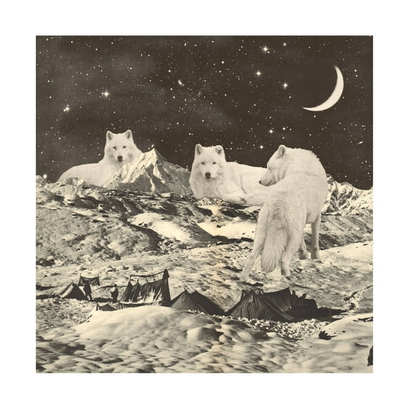 Trademark Fine Art Florent Bodart Giant White Wolves Canvas Wall Art