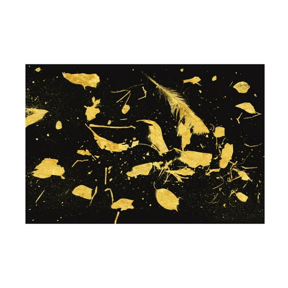 Trademark Fine Art Florent Bodart Gold Dust Canvas Wall Art