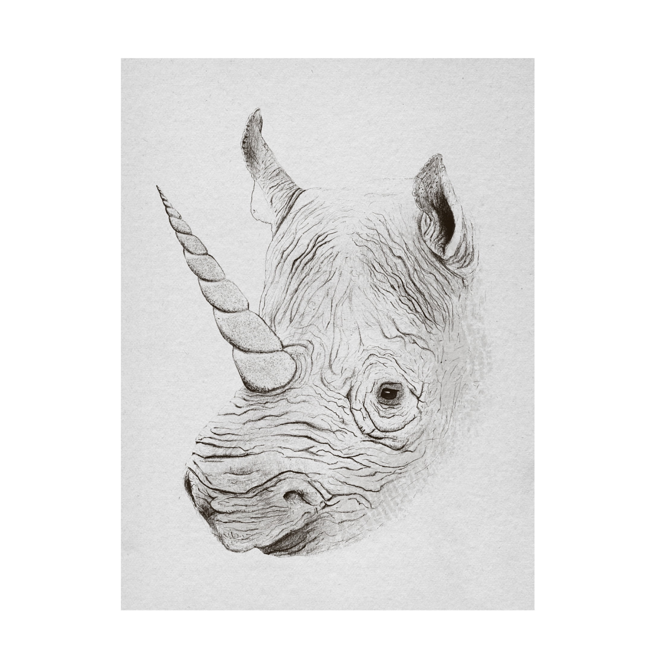 Trademark Fine Art Florent Bodart Rhinoplasty Canvas Wall Art
