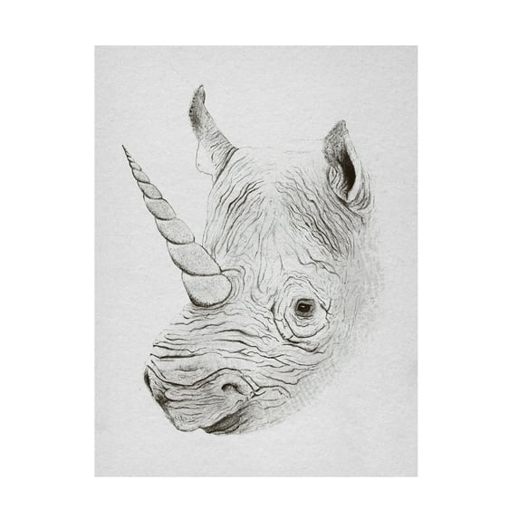 Trademark Fine Art Florent Bodart Rhinoplasty Canvas Wall Art