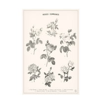 Trademark Fine Art Florent Bodart Roses Canvas Wall Art