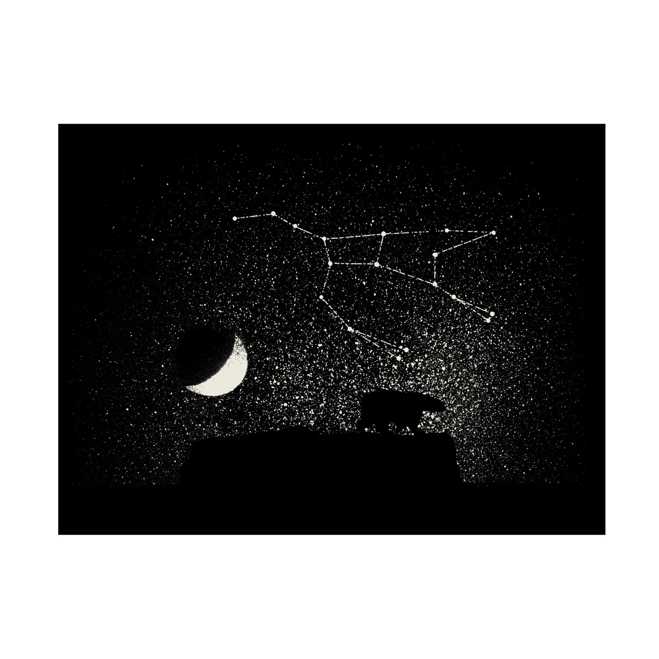 Trademark Fine Art Florent Bodart  Ursa Major Canvas Wall Art