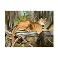 thumbnail image 1 of Trademark Fine Art 'Florida Panther' Canvas Art by Geno Peoples, 1 of 4