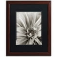 thumbnail image 1 of Trademark Fine Art "Florison 21" Canvas Art by Alan Blaustein, Black Matte, Wood Frame, 1 of 4