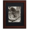 thumbnail image 1 of Trademark Fine Art "Florison 25" Canvas Art by Alan Blaustein, Black Matte, Wood Frame, 1 of 4