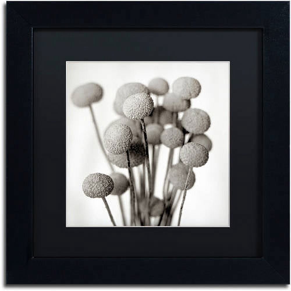 Trademark Fine Art "Florison 33" Canvas Art by Alan Blaustein, Black Matte, Black Frame