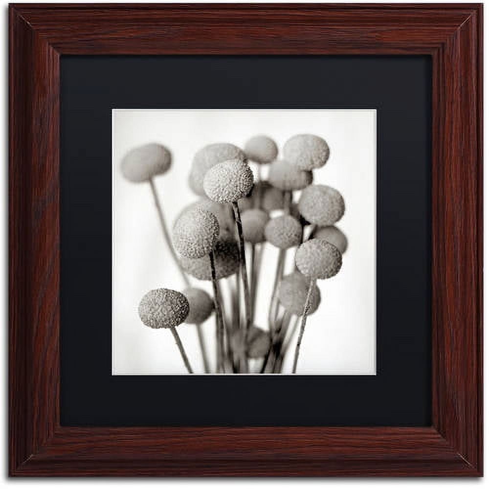 Trademark Fine Art "Florison 33" Canvas Art by Alan Blaustein, Black Matte, Wood Frame