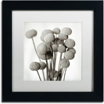 Trademark Fine Art "Florison 33" Canvas Art by Alan Blaustein, White Matte, Black Frame
