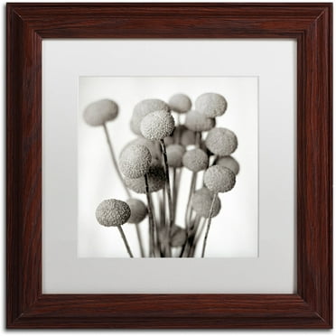 Trademark Fine Art "Florison 33" Canvas Art by Alan Blaustein, White Matte, Wood Frame