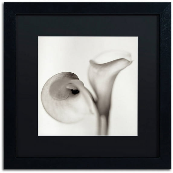 Trademark Fine Art "Florison 35" Canvas Art by Alan Blaustein, Black Matte, Black Frame