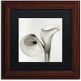 thumbnail image 1 of Trademark Fine Art "Florison 35" Canvas Art by Alan Blaustein, Black Matte, Wood Frame, 1 of 4