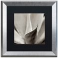 thumbnail image 1 of Trademark Fine Art "Florison 42" Canvas Art by Alan Blaustein, Black Matte, Silver Frame, 1 of 4