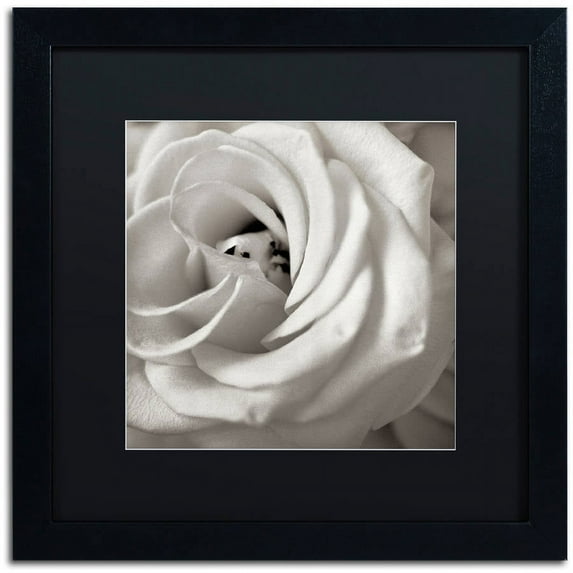 Trademark Fine Art "Florison 43" Canvas Art by Alan Blaustein, Black Matte, Black Frame