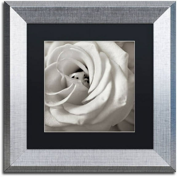 Trademark Fine Art "Florison 43" Canvas Art by Alan Blaustein, Black Matte, Silver Frame