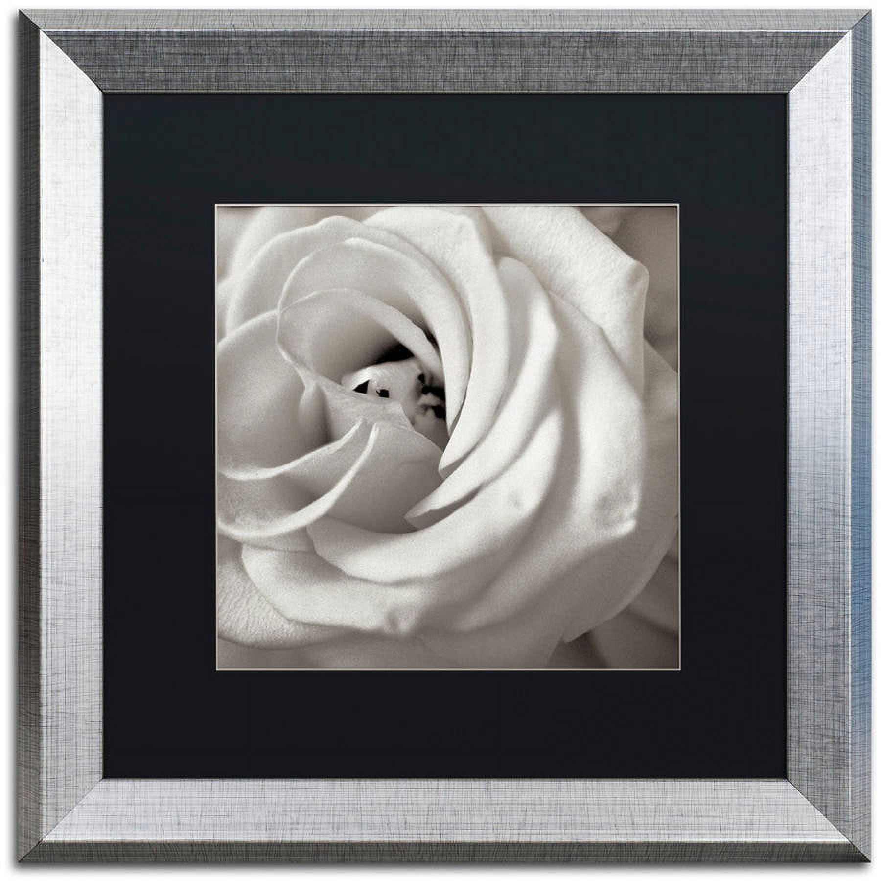 Trademark Fine Art "Florison 43" Canvas Art by Alan Blaustein, Black Matte, Silver Frame