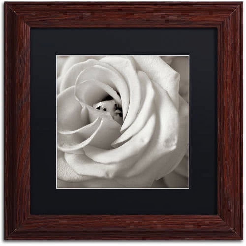 Trademark Fine Art "Florison 43" Canvas Art by Alan Blaustein, Black Matte, Wood Frame