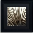 thumbnail image 1 of Trademark Fine Art "Florison 48" Canvas Art by Alan Blaustein, Black Matte, Black Frame, 1 of 4