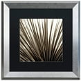 thumbnail image 1 of Trademark Fine Art "Florison 48" Canvas Art by Alan Blaustein, Black Matte, Silver Frame, 1 of 4