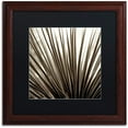 thumbnail image 1 of Trademark Fine Art "Florison 48" Canvas Art by Alan Blaustein, Black Matte, Wood Frame, 1 of 4