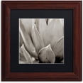 thumbnail image 1 of Trademark Fine Art "Florison 49" Canvas Art by Alan Blaustein, Black Matte, Wood Frame, 1 of 4