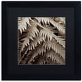 thumbnail image 1 of Trademark Fine Art "Florison 51" Canvas Art by Alan Blaustein, Black Matte, Black Frame, 1 of 4