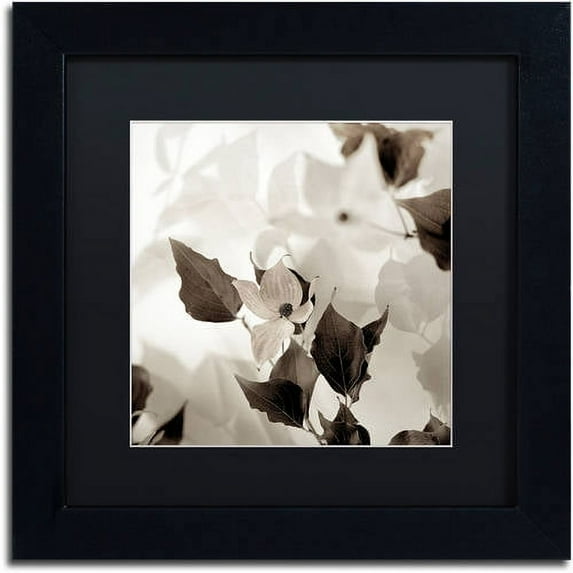 Trademark Fine Art "Florison 54" Canvas Art by Alan Blaustein, Black Matte, Black Frame