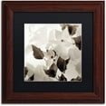 thumbnail image 1 of Trademark Fine Art "Florison 54" Canvas Art by Alan Blaustein, Black Matte, Wood Frame, 1 of 4