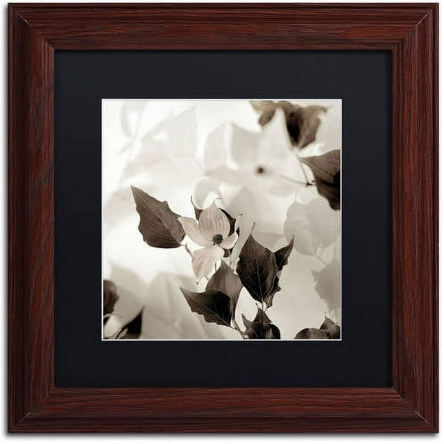 Trademark Fine Art "Florison 54" Canvas Art by Alan Blaustein, Black Matte, Wood Frame
