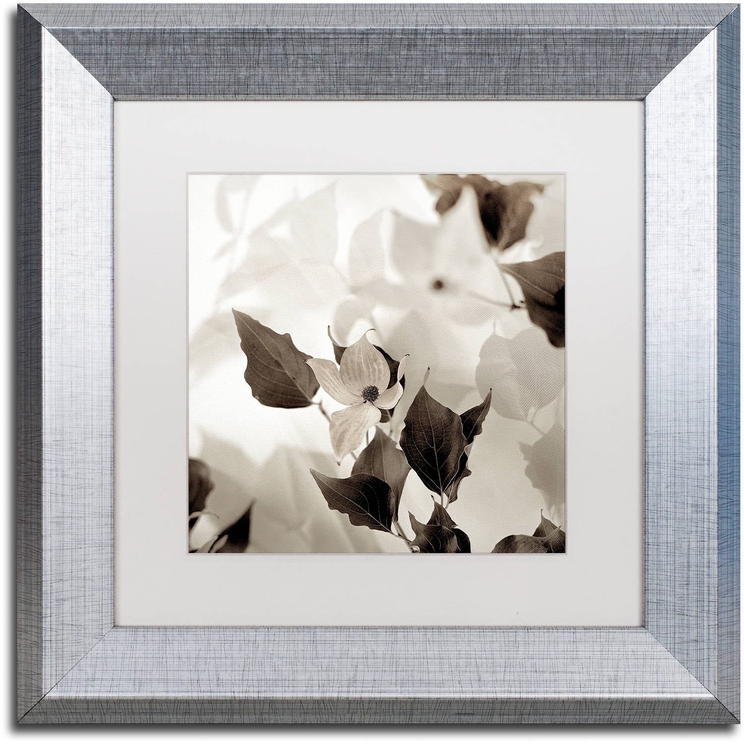 Silver Framed Square Canvas Art with White Matte