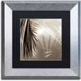 thumbnail image 1 of Trademark Fine Art "Florison 55" Canvas Art by Alan Blaustein, Black Matte, Silver Frame, 1 of 4