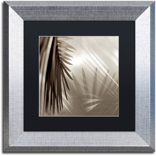 Trademark Fine Art "Florison 55" Canvas Art by Alan Blaustein, Black Matte, Silver Frame