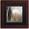 thumbnail image 1 of Trademark Fine Art "Florison 55" Canvas Art by Alan Blaustein, Black Matte, Wood Frame, 1 of 4
