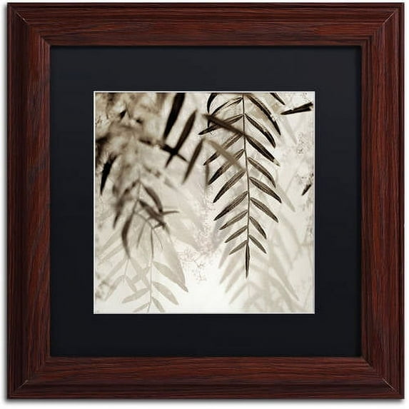 Trademark Fine Art "Florison 56" Canvas Art by Alan Blaustein, Black Matte, Wood Frame