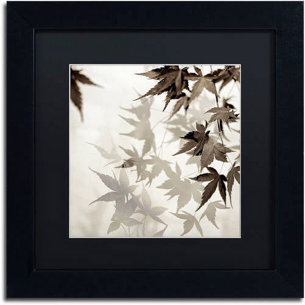 Trademark Fine Art "Florison 57" Canvas Art by Alan Blaustein, Black Matte, Black Frame