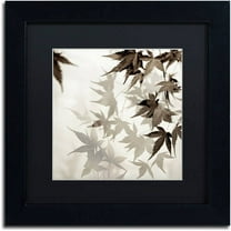 Trademark Fine Art "Florison 57" Canvas Art by Alan Blaustein, Black Matte, Black Frame